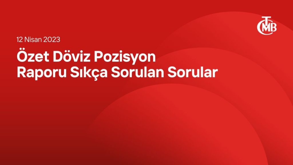 Özet Döviz Pozisyon Raporu Sıkça Sorulan Sorular