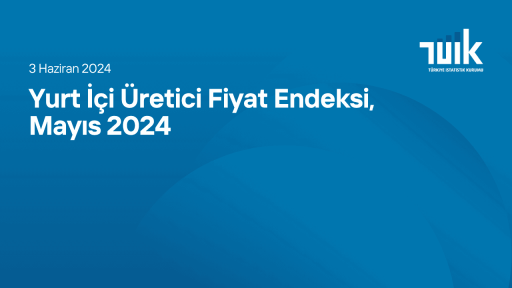 Yurt İçi Üretici Fiyat Endeksi, Mayıs 2024