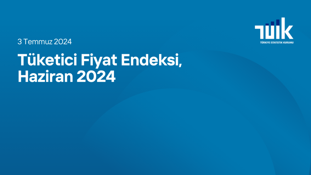 Tüketici Fiyat Endeksi, Haziran 2024