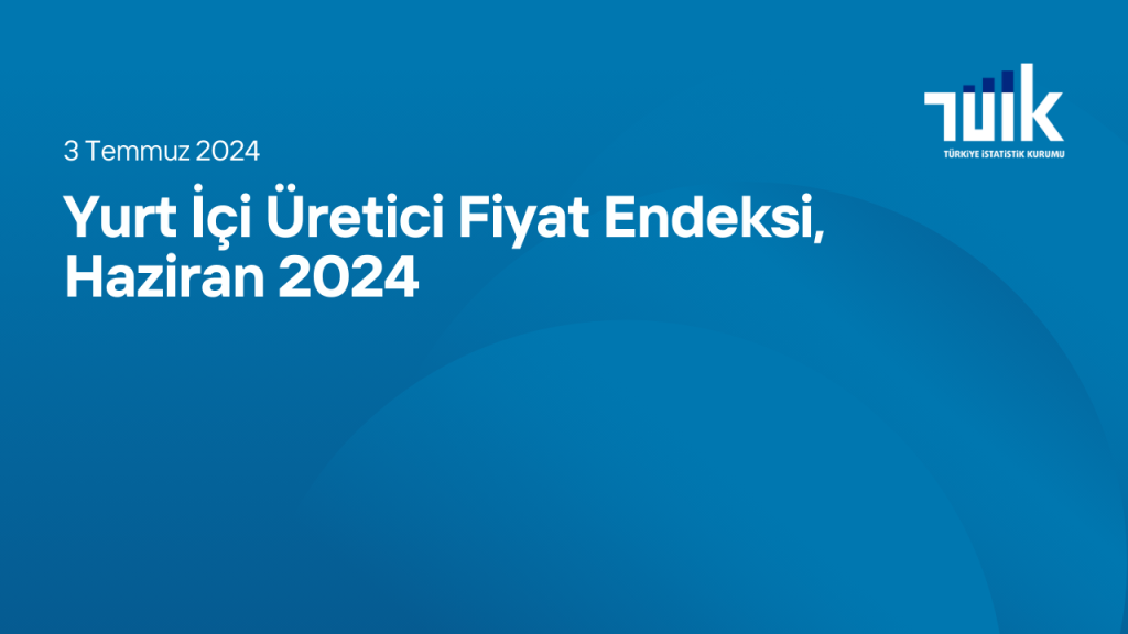 Yurt İçi Üretici Fiyat Endeksi, Haziran 2024